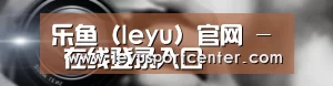 公司动态
