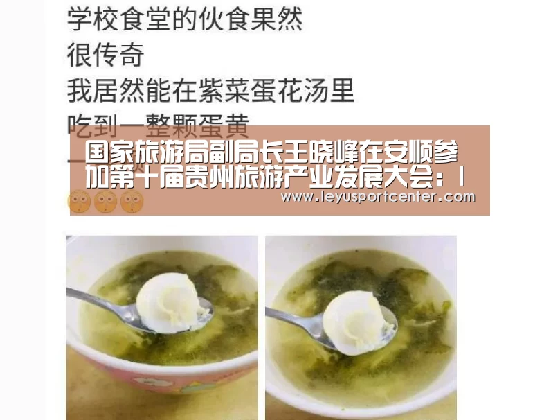 国家旅游局副局长王晓峰在安顺参加第十届贵州旅游产业发展大会:leyu(图3) 国家旅游局副局长王晓峰在安顺参加第十届贵州旅游产业发展大会:leyu(图3)
