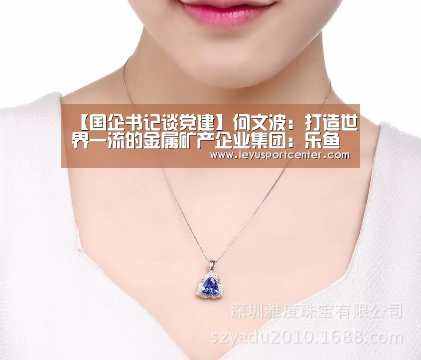 【国企书记谈党建】何文波：打造世界一流的金属矿产企业集团：乐鱼官网(图1)
